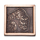 Ark Nova Metal Coin Set