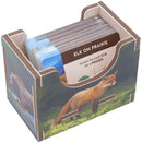 Box Insert: Cascadia (Color)