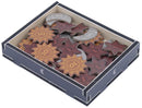 Box Insert: Septima (Color)