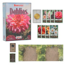 Bohnanza: Dahlias