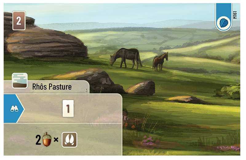 Forest Shuffle: Dartmoor