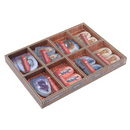 Box Insert: Gloomhaven (2nd Edition) (Color)