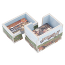 Box Insert: Skara Brae (Color)
