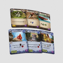 Lost Ruins of Arnak: Surprise Shipment Expansion