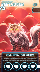Bullet Paw Expansion