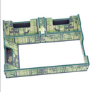 Box Insert: Forest Shuffle (Color)