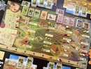 Viticulture: Bordeaux Expansion