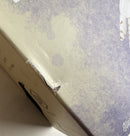 Wingspan: European Expansion (DING/DENTED COPY)