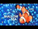 Shallow Sea (SEE LOW PRICE AT CHECKOUT)