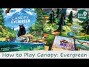 Canopy: Evergreen