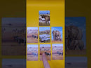 Ecosystem: Savanna (SEE LOW PRICE AT CHECKOUT)