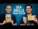 Seashells (SEE LOW PRICE AT CHECKOUT)