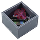 Box Insert: Rajas of the Ganges